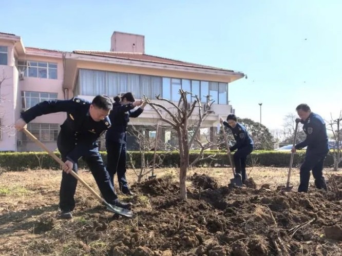 9泰安 (1).jpg