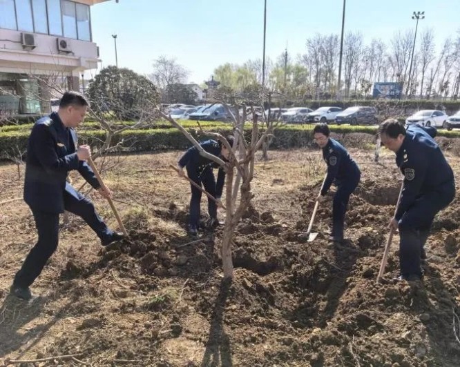 9泰安 (2).jpg